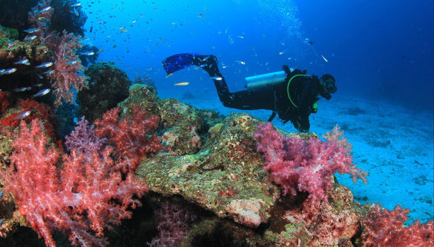 Corso di immersione PADI Open Water - Foto 2