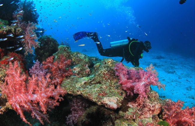 Curso de buceo PADI Open Water - Foto 2