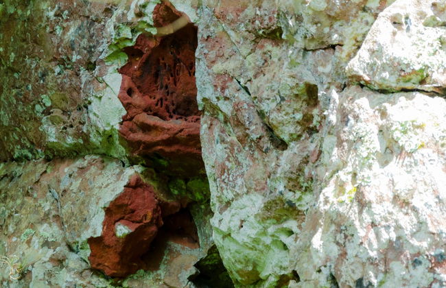 Excursión al Parque Vila Velha - Foto 7