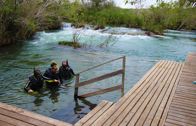 Snorkel en el río Formoso - Foto 3