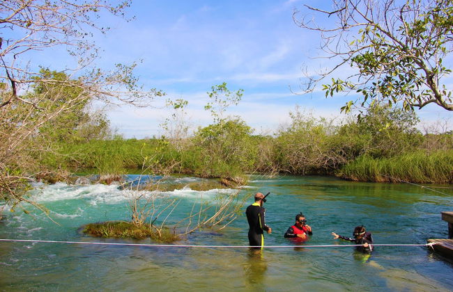 Snorkel en el río Formoso - Foto 2