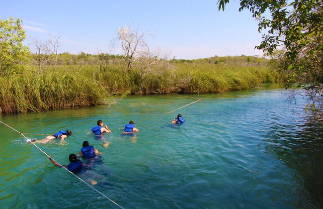 Snorkel en el río Formoso - Foto 4