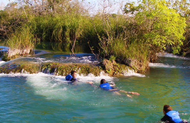 Snorkel en el río Formoso - Foto 8
