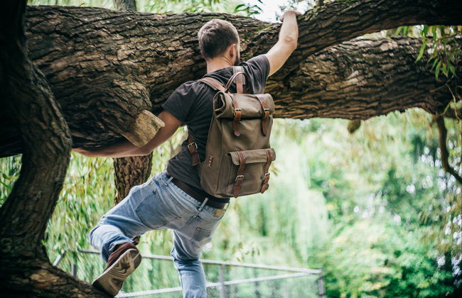 Tree Climbing in the Pica Oasis - Foto 6