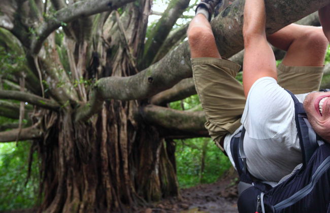 Tree Climbing in the Pica Oasis - Photo 5