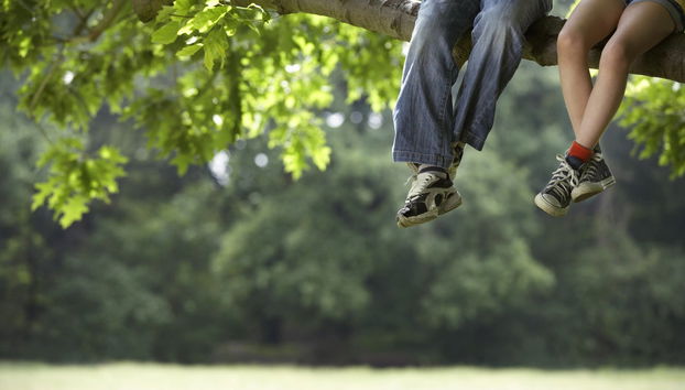 Tree Climbing in the Pica Oasis - Foto 5