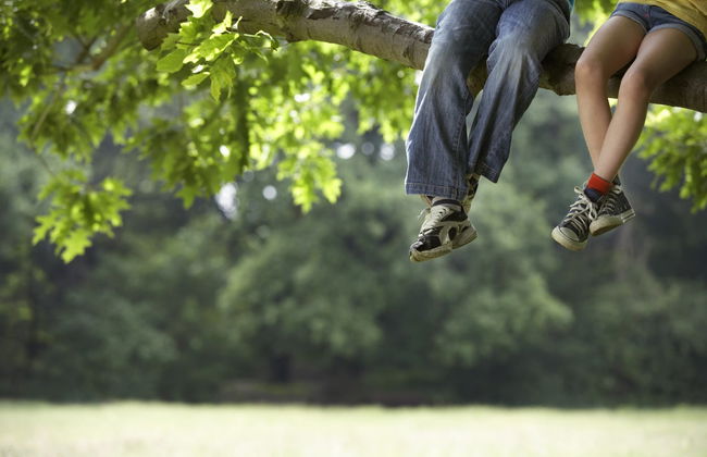 Tree Climbing in the Pica Oasis - Foto 5