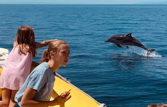 Observation de cétacés dans le golfe de Tarente - Photo 4