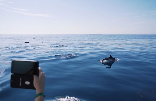 Observation de cétacés dans le golfe de Tarente - Photo 3