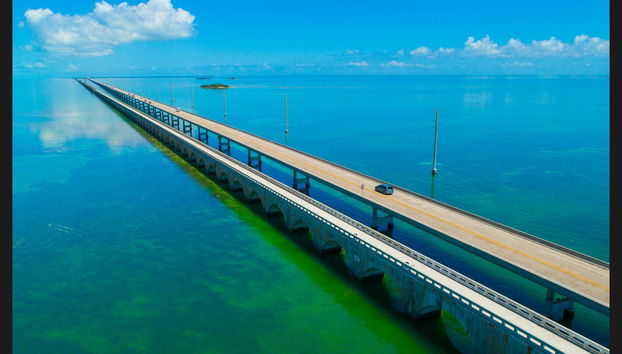 Excursion sur l'île Key West - Photo 3
