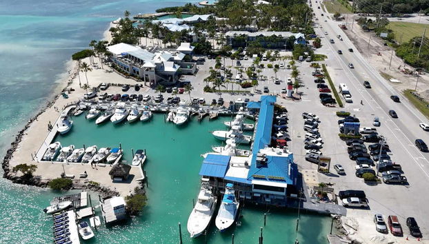 Excursión a Cayo Hueso - Foto 5