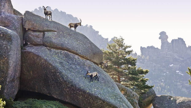 Sierra de Guadarrama National Park Day Trip - Photo 5