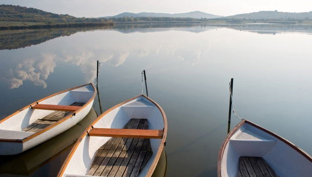 Excursão ao lago Balaton - Foto 2