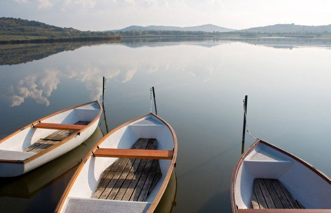 Escursione al lago Balaton - Foto 2