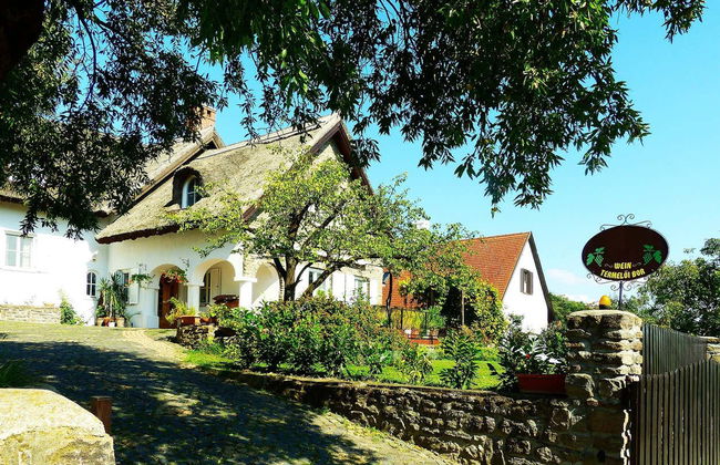 Escursione al lago Balaton - Foto 9