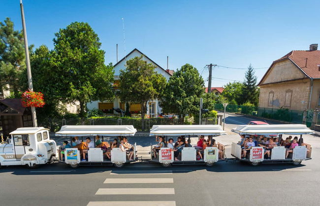 Escursione al lago Balaton - Foto 8