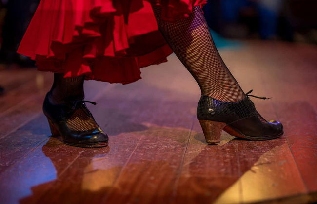 Flamenco em Albaicín: Jardines de Zoraya - Foto 11