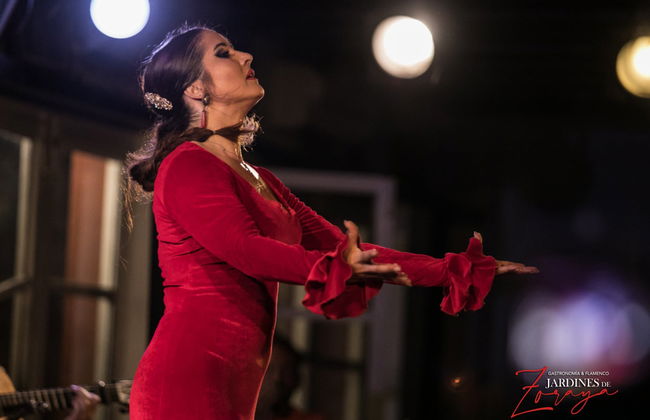 Flamenco em Albaicín: Jardines de Zoraya - Foto 8