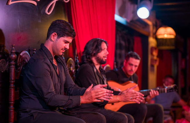 Flamenco em Albaicín: Jardines de Zoraya - Foto 13