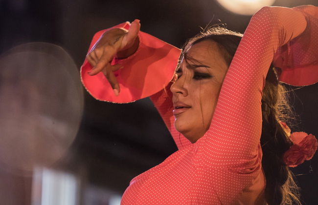 Flamenco em Albaicín: Jardines de Zoraya - Foto 16