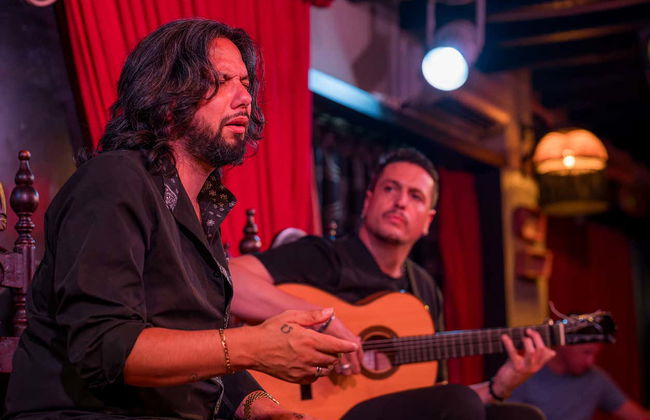 Flamenco em Albaicín: Jardines de Zoraya - Foto 15