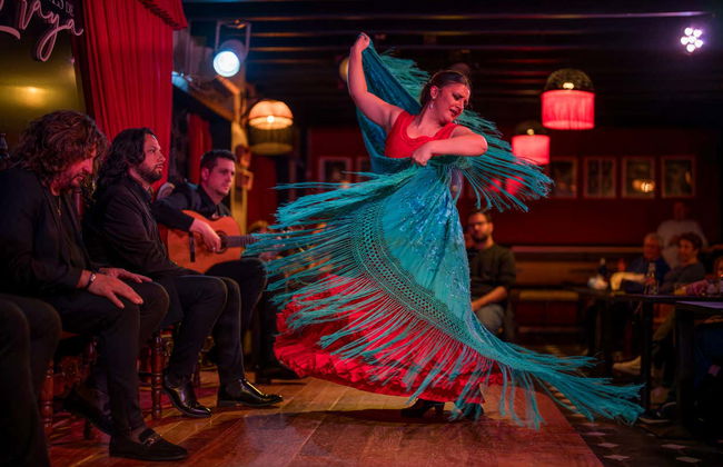 Flamenco em Albaicín: Jardines de Zoraya - Foto 14