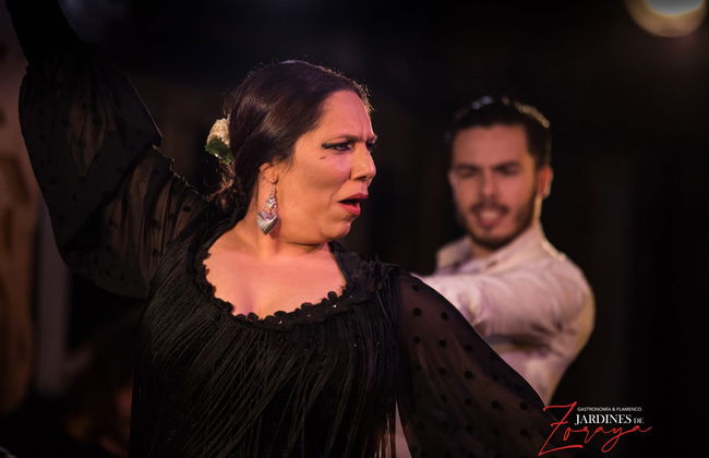 Flamenco em Albaicín: Jardines de Zoraya - Foto 10
