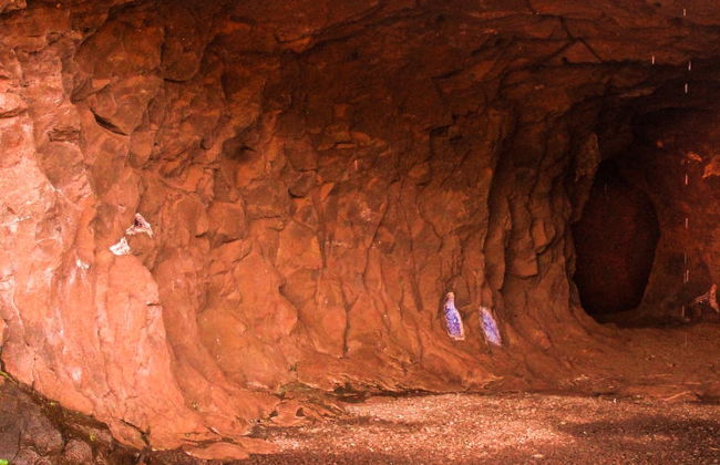 Excursión a las ruinas de San Ignacio y las minas de Wanda - Foto 8