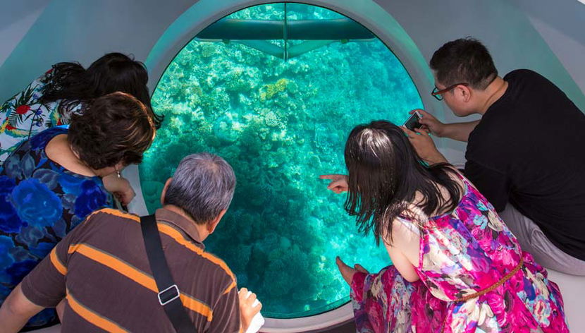 Paseo en barco con fondo de cristal - Foto 3