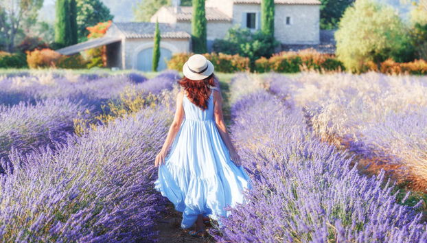 Excursão aos campos de lavanda por Valensole e Moustiers-Sainte-Marie - Foto 2