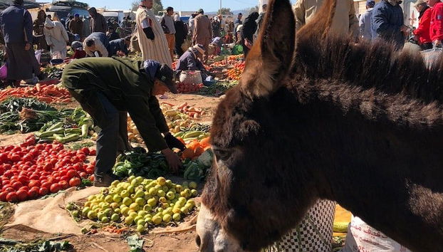 Tour por un mercado bereber + Visita a una cooperativa de argán - Foto 5