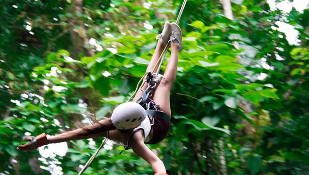 Rainforest Ziplining - Photo 4