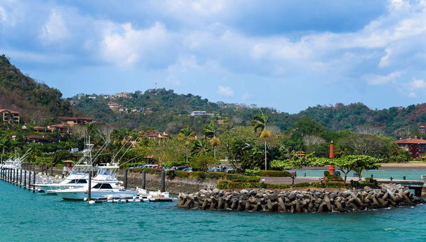 Rainforest Ziplining - Photo 3