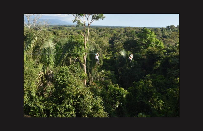 Tyrolienne dans la forêt tropicale - Photo 4