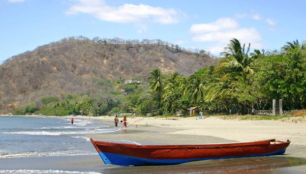 Rainforest Ziplining - Photo 2