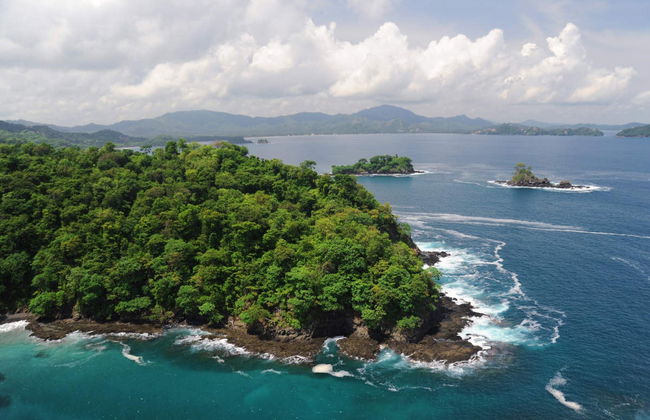 Rainforest Ziplining - Photo 1