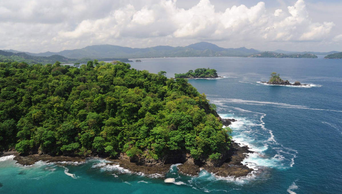 Rainforest Ziplining - Photo 1