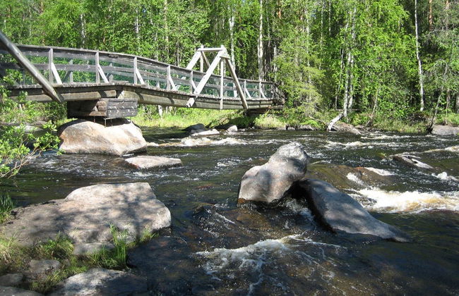 Senderismo por Vikaköngäs - Foto 2