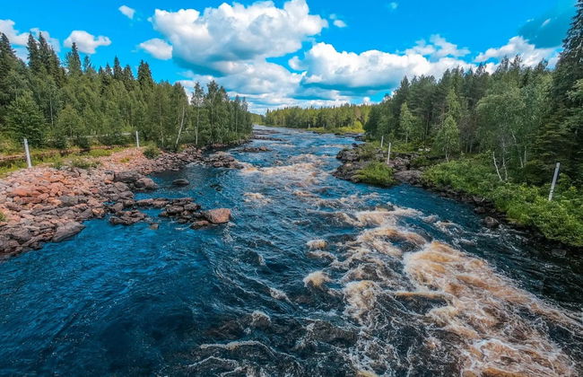 Senderismo por Vikaköngäs - Foto 3