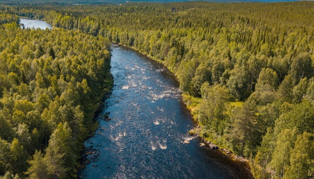 Randonnée à Vikaköngäs - Photo 2