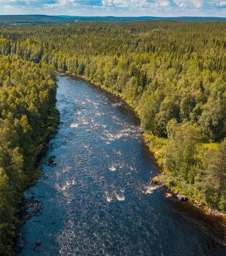 Foto de Senderismo por Vikaköngäs
