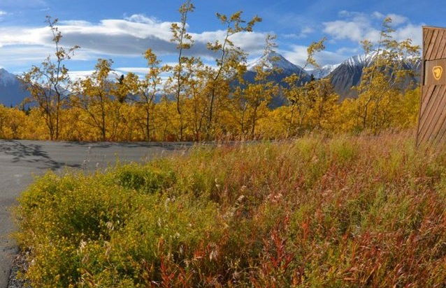 Excursión al Parque Nacional de Kluane - Foto 3
