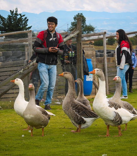 Foto de Tour rural y de aventura por Tunja