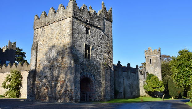 Howth Peninsula Hiking Tour - Foto 3