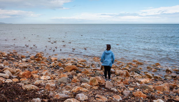 Howth Peninsula Hiking Tour - Foto 5