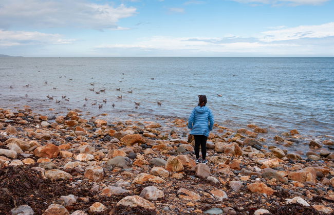 Howth Peninsula Hiking Tour - Photo 5