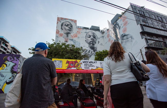 Tour por Wynwood - Foto 2