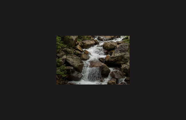 Tyrolienne dans le parc national de La Amistad - Photo 5