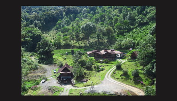 La Amistad National Park Zipline - Photo 3
