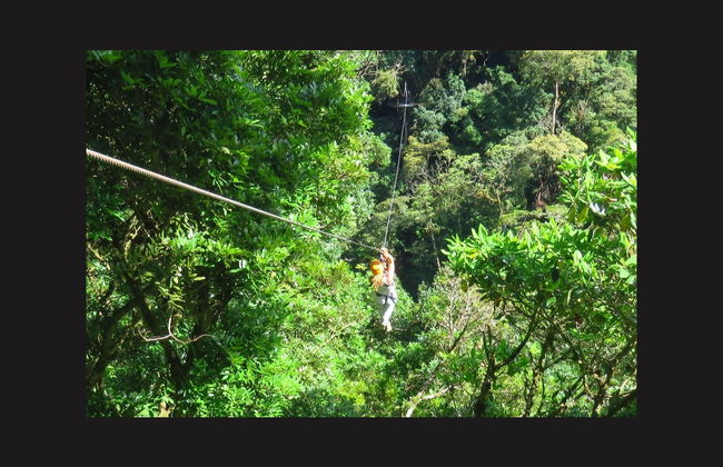 La Amistad National Park Zipline - Photo 6
